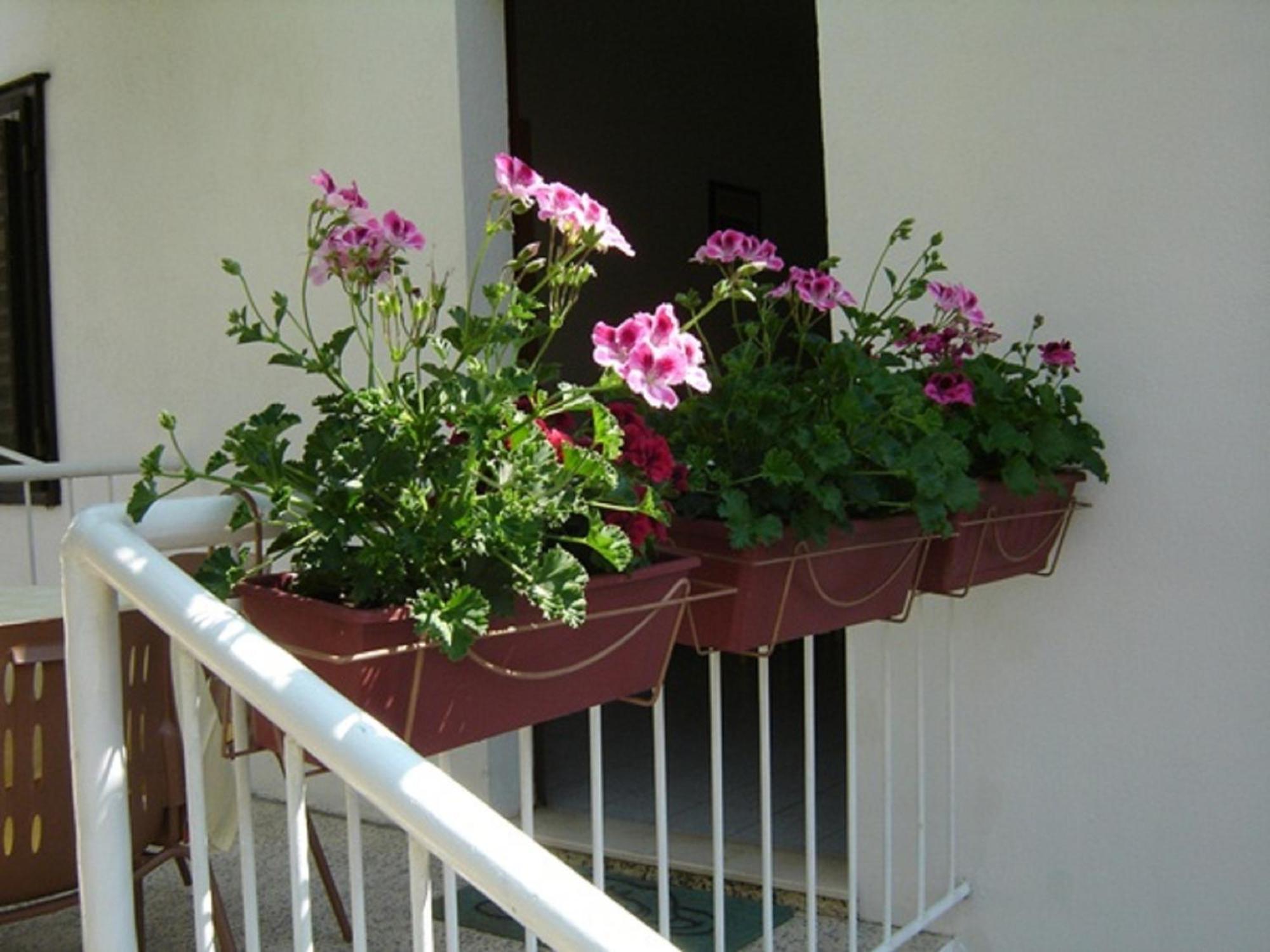 Apartmani Luna Hvar Town Exterior foto